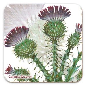 Coaster: Thistles