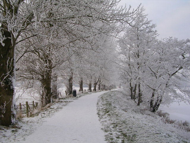 a snowy path