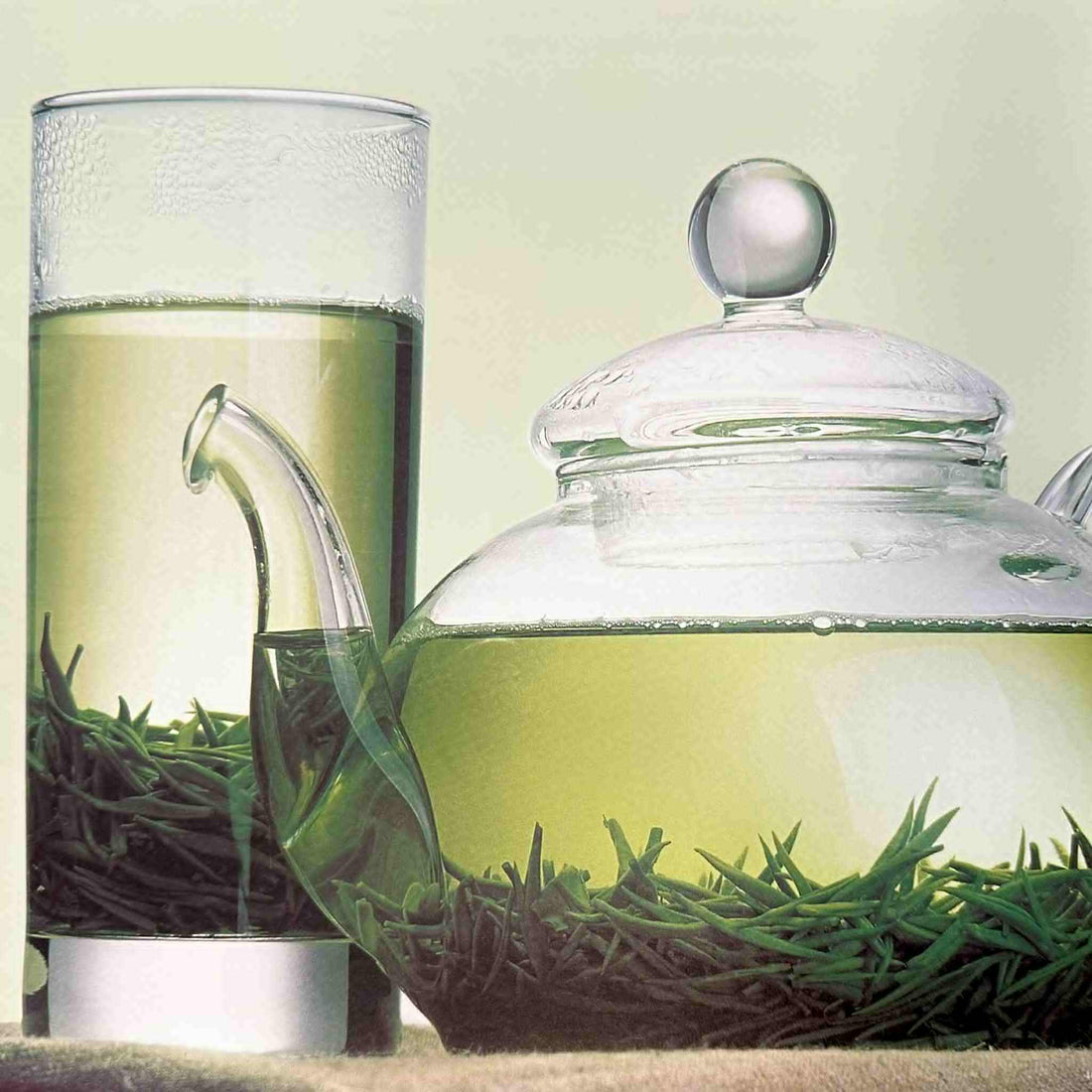 Does tea cure diabetes?