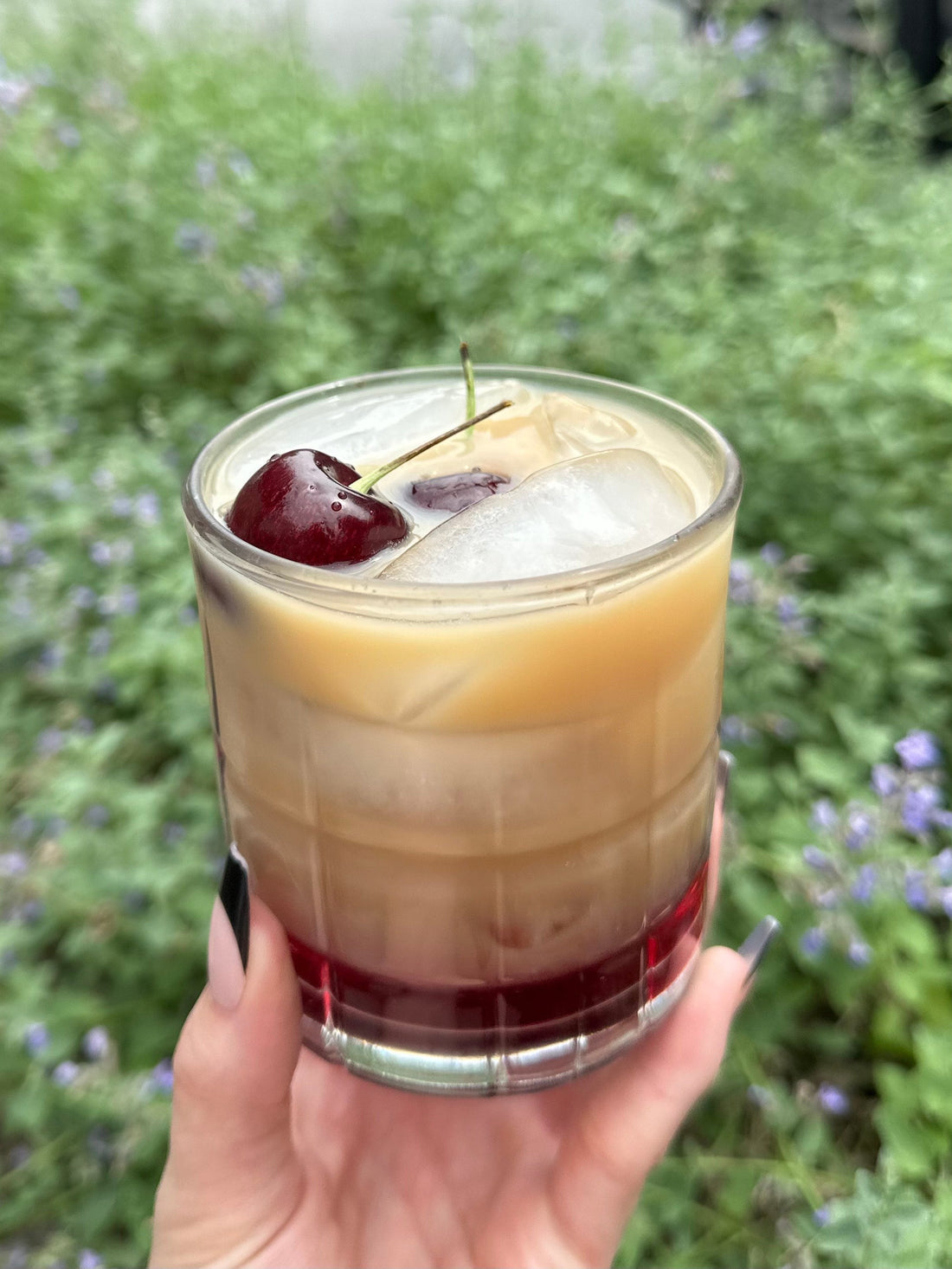 Cherry Earl Grey Milk Tea