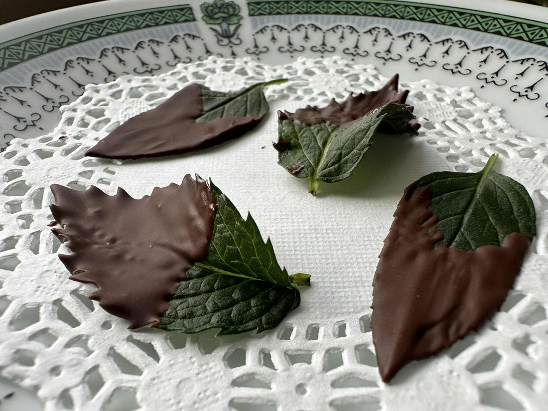 Fresh Mint Recipes: Simple, Delicious Ways to Enjoy Mint