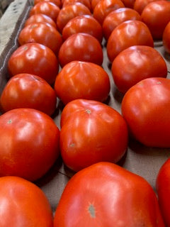 An abundance of fresh tomatoes!