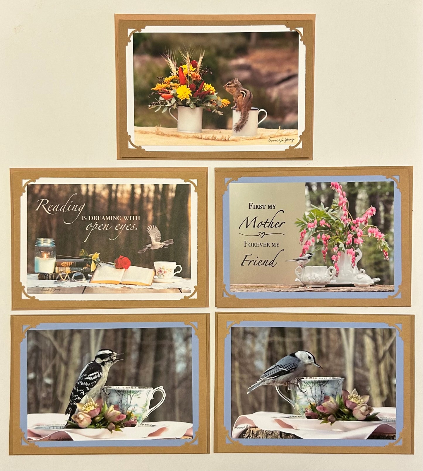 Greeting Card: 5pk Teacup Bird Feeder