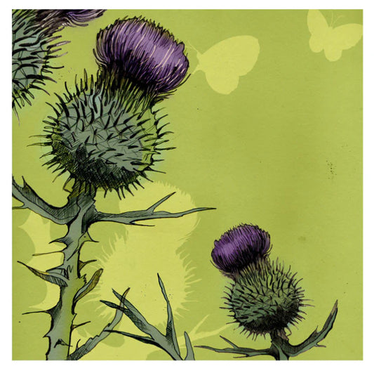 Greeting Card: Thistle
