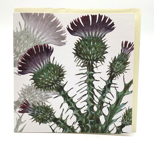 Greeting Card: Thistles