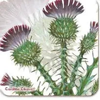 Melamine Coasters
